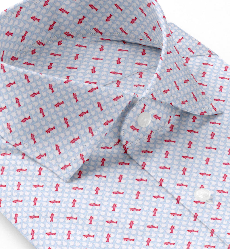 Image of a Sky-Blue & Red Poplin Prints Giza Cotton Shirting Fabric