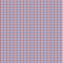 Image of a Blue & Red Poplin Checks Giza Cotton Shirting Fabric