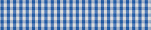 Blue & White Poplin Checks Giza Cotton Shirting Fabric
