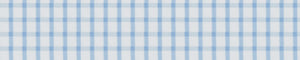 Blue & White Poplin Checks Giza Cotton Shirting Fabric