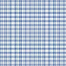 Image of a Blue & White Poplin Checks Giza Cotton Shirting Fabric