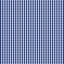 Image of a Blue & White Twill Checks Giza Cotton Shirting Fabric