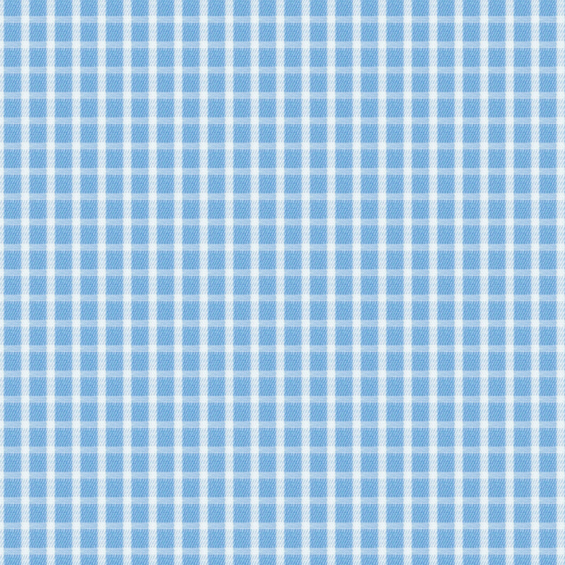 Image of a Blue & White Twill Checks Giza Cotton Shirting Fabric
