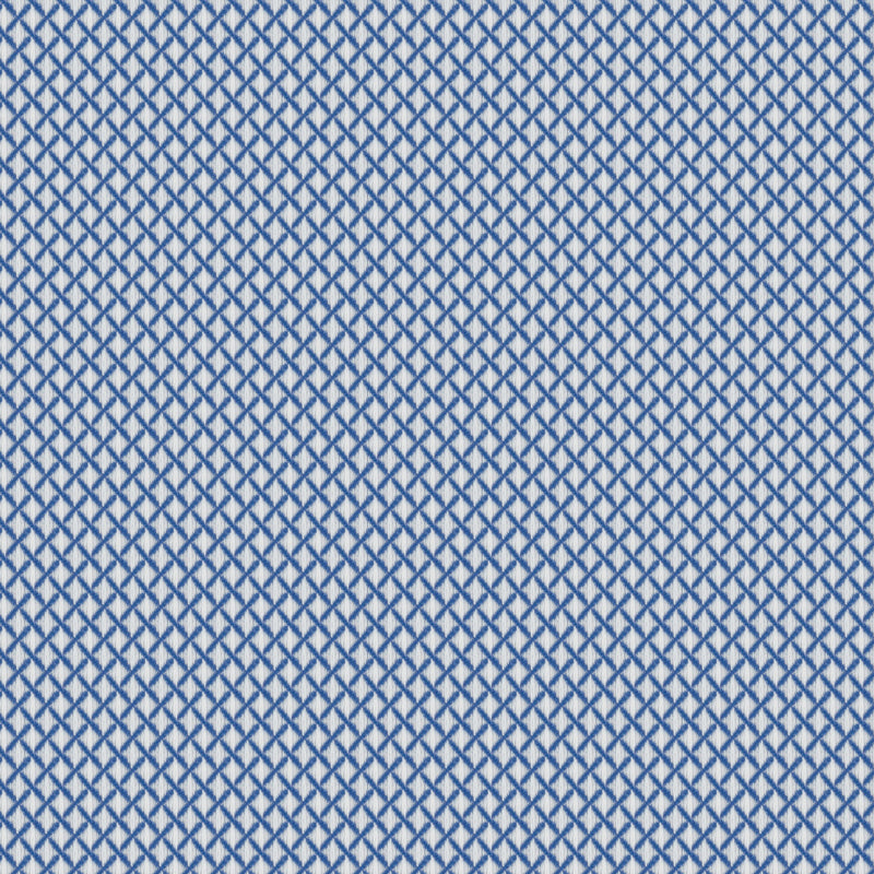 Image of a Blue Dobby Micropattern Giza Cotton Shirting Fabric