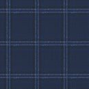 Image of a Navy-Blue & White Worsted Checks Merino Wool Pants Fabric