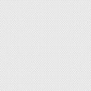 Image of a White Dobby Micropattern Giza Cotton Shirting Fabric