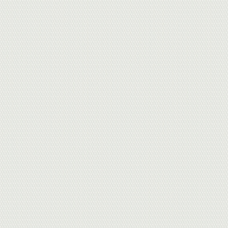 Image of a White Oxford Micropattern Giza Cotton Shirting Fabric